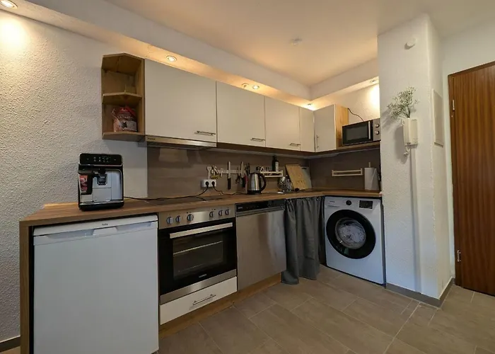 Eigenes Ruhiges Mit Kueche Und Terasse Chemnitz